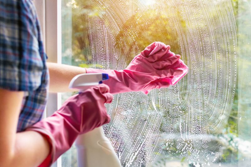 Window and Screen Cleaning