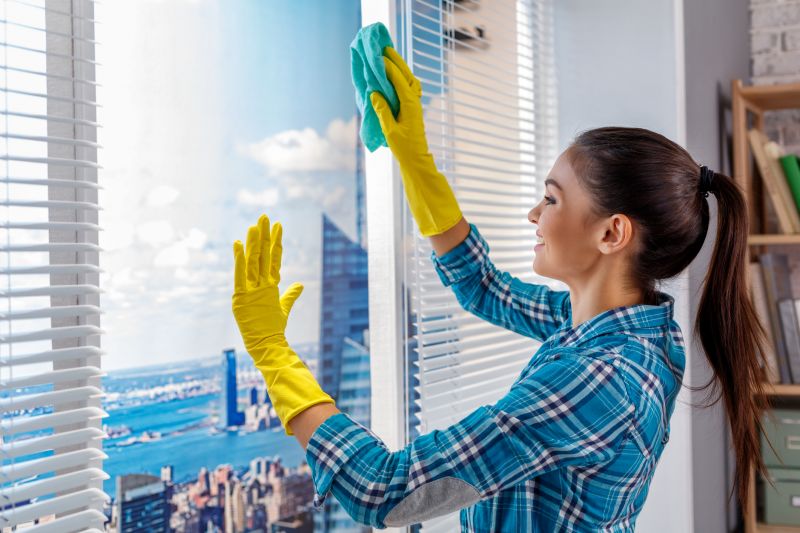 Window And Screen Cleaning