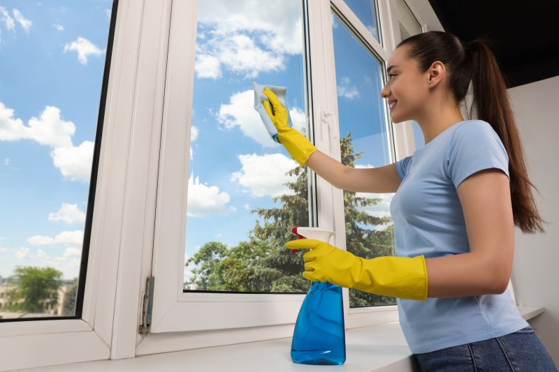 Window and Screen Cleaning